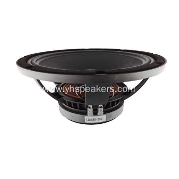 Professional Audio 12 Inch Woofer